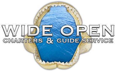 Wide Open Fishing Charters - St. Augustine, Florida